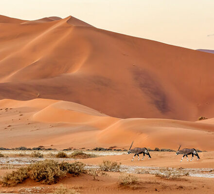 索苏维来 SOSSUSVLEI 索苏维来 SOSSUSVLEI
