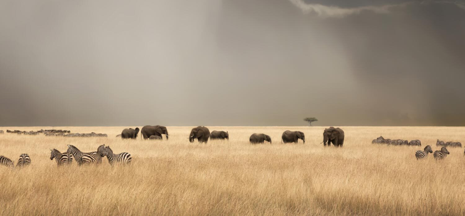 寻觅非凡 寻觅非凡