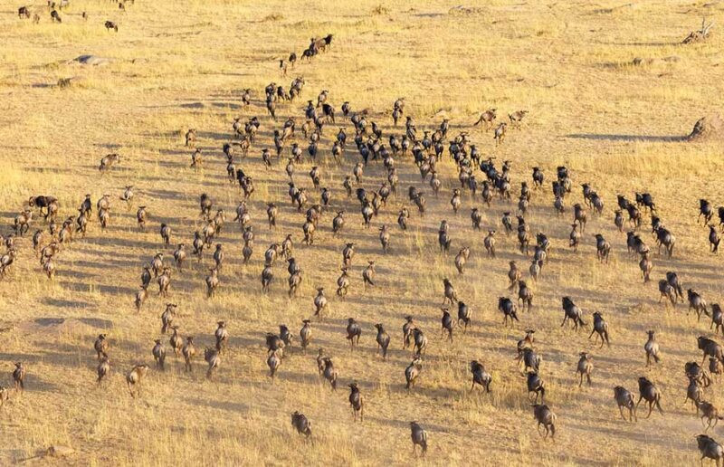 Tanzania-Rwanda Combo: Singita Tanzania-Rwanda Combo: Singita