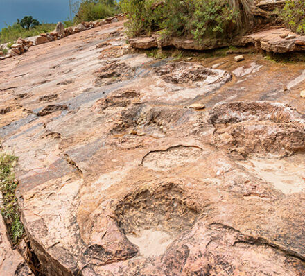 离开拉巴斯 DEPART LA PAZ 离开拉巴斯 DEPART LA PAZ