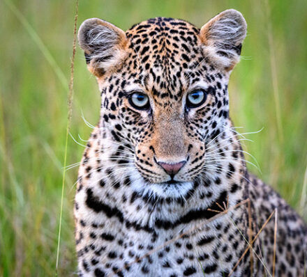 基加利 KIGALI / 阿卡盖拉国家公园 AKAGERA NP 基加利 KIGALI / 阿卡盖拉国家公园 AKAGERA NP