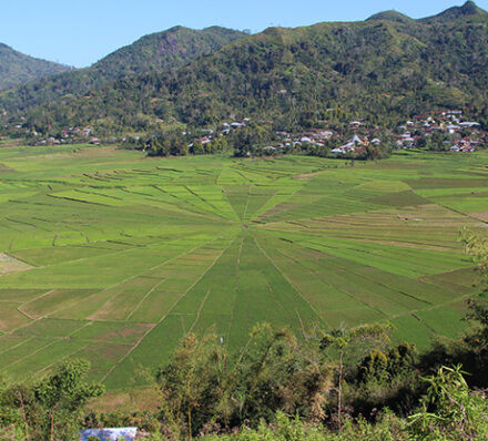 离开纳闽巴霍 DEPARTURE FROM LABUAN BAJO 离开纳闽巴霍 DEPARTURE FROM LABUAN BAJO