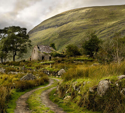 基拉尼KILLARNEY 基拉尼KILLARNEY