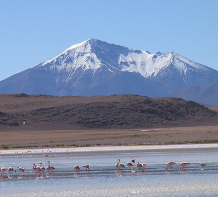 塔瓦 TAHUA / 科尔查尼（乌尤尼）COLCHANI（UYUNI）（海拔3,700米-4,500 米）