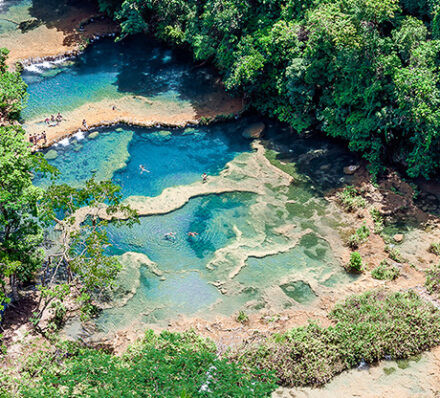 科万COBÁN/塞穆克·尚佩自然保护区SEMUC CHAMPEY（平均海拔380米）/ 科万COBÁN（平均海拔1,320米）