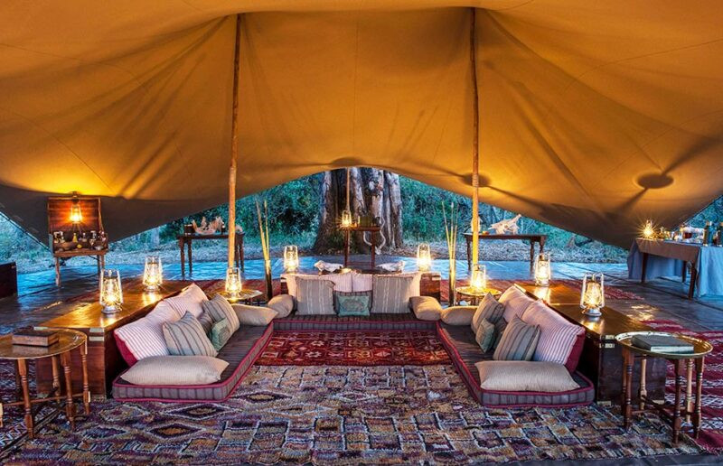 Honeymoon Offer: Natural Selection Honeymoon Offer: Natural Selection