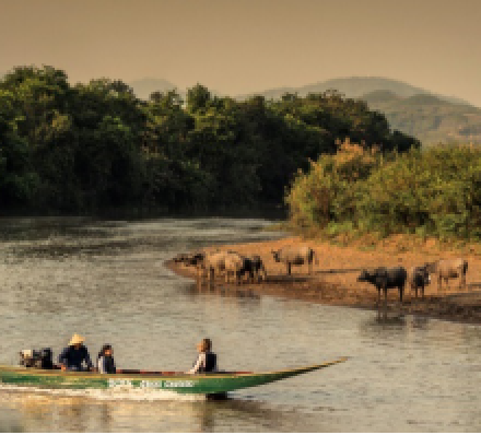 清盛 CHIANG SAEN