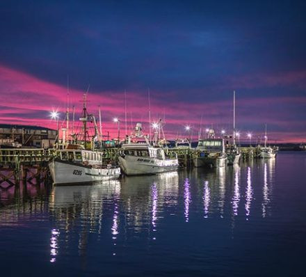 布拉夫BLUFF 布拉夫BLUFF