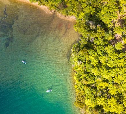船湾SHIP COVE / 皮克顿PICTON 船湾SHIP COVE / 皮克顿PICTON
