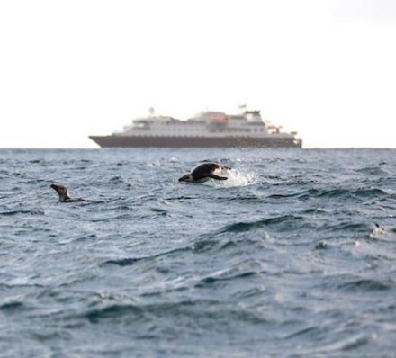 海上巡游DAY AT SEA 海上巡游DAY AT SEA