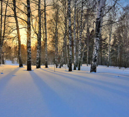 塔吉什 TAGISH 塔吉什 TAGISH