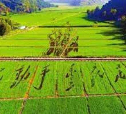 壶口瀑布 / 延安 壶口瀑布 / 延安