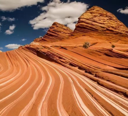 延安 / 榆林 延安 / 榆林