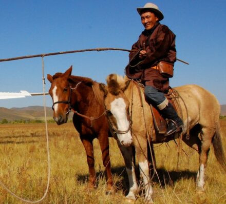 埃尔斯特 ELST / 汗肯特自然保护区 KHAN KHENTII NATURE RESERVE 埃尔斯特 ELST / 汗肯特自然保护区 KHAN KHENTII NATURE RESERVE