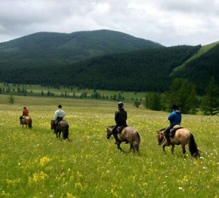 汗肯特自然保护区 KHAN KHENTII NATURE RESERVE 汗肯特自然保护区 KHAN KHENTII NATURE RESERVE