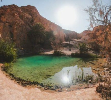 2024年12月20日(星期五) 托泽尔  TOZEUR 2024年12月20日(星期五) 托泽尔  TOZEUR