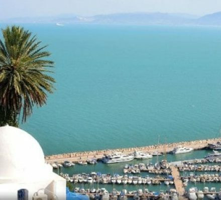 2024年12月24日(星期二) 离开突尼斯   DEPARTURE FROM TUNIS 2024年12月24日(星期二) 离开突尼斯   DEPARTURE FROM TUNIS