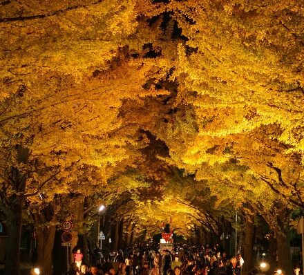 抵达札幌 ARRIVAL IN SAPPORO 抵达札幌 ARRIVAL IN SAPPORO