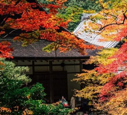 大阪 OSAKA / 离开关西DEPARTURE FROM KANSAI 大阪 OSAKA / 离开关西DEPARTURE FROM KANSAI