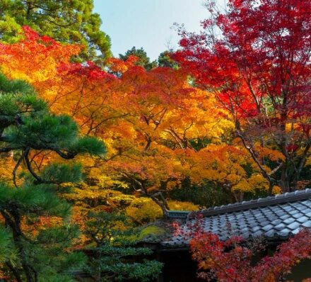 京都KYOTO / 大津 OTSU / 京都KYOTO 京都KYOTO / 大津 OTSU / 京都KYOTO