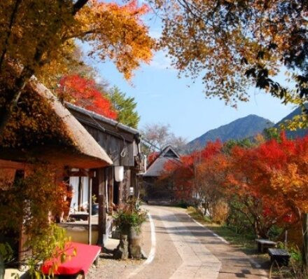 白滨 SHIRAHAMA 白滨 SHIRAHAMA