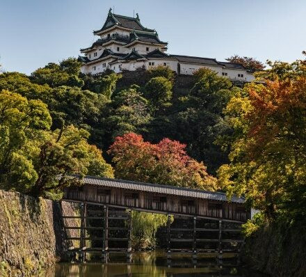 白滨 SHIRAHAMA / 大阪OASAKA  白滨 SHIRAHAMA / 大阪OASAKA