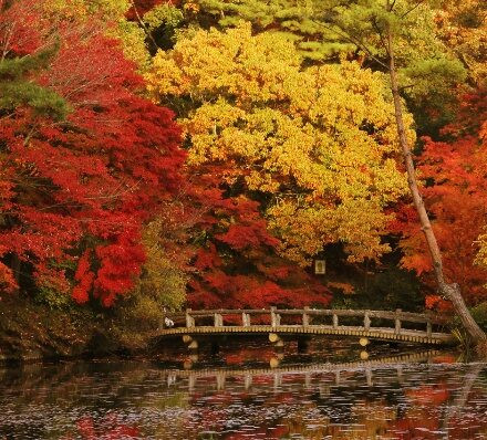 大阪OASAKA / 神户 KOBE / 大阪OASAKA 大阪OASAKA / 神户 KOBE / 大阪OASAKA