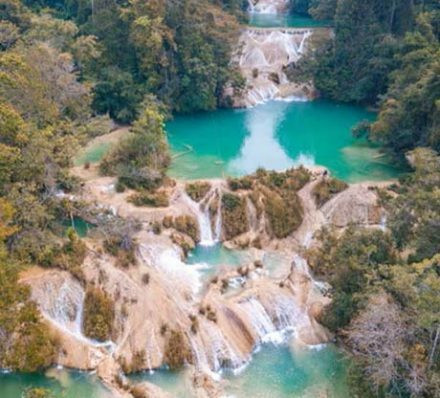 3月29日(日) 帕伦克PALENQUE – 佛洛雷斯FLORES 3月29日(日) 帕伦克PALENQUE – 佛洛雷斯FLORES
