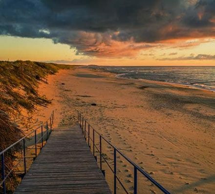 6月22日(日) 克莱佩达KLAIPEDA –库尔斯沙嘴CURONIAN SPIT –克莱佩达KLAIPEDA 6月22日(日) 克莱佩达KLAIPEDA –库尔斯沙嘴CURONIAN SPIT –克莱佩达KLAIPEDA