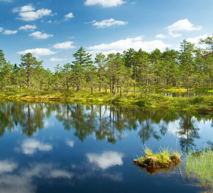 6月17日(二)塔林 TALLINN / 拉赫玛国家公园 LAHEMAA NATIONAL PARK / 塔尔图 TARTU   6月17日(二)塔林 TALLINN / 拉赫玛国家公园 LAHEMAA NATIONAL PARK / 塔尔图 TARTU