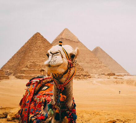 离开沙姆沙伊赫 DEPARTURE FROM SHARM EL SHEIKH 离开沙姆沙伊赫 DEPARTURE FROM SHARM EL SHEIKH