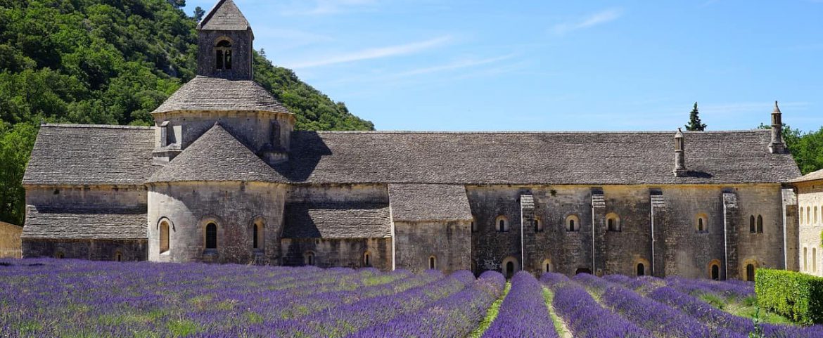 The Countryside of Provence