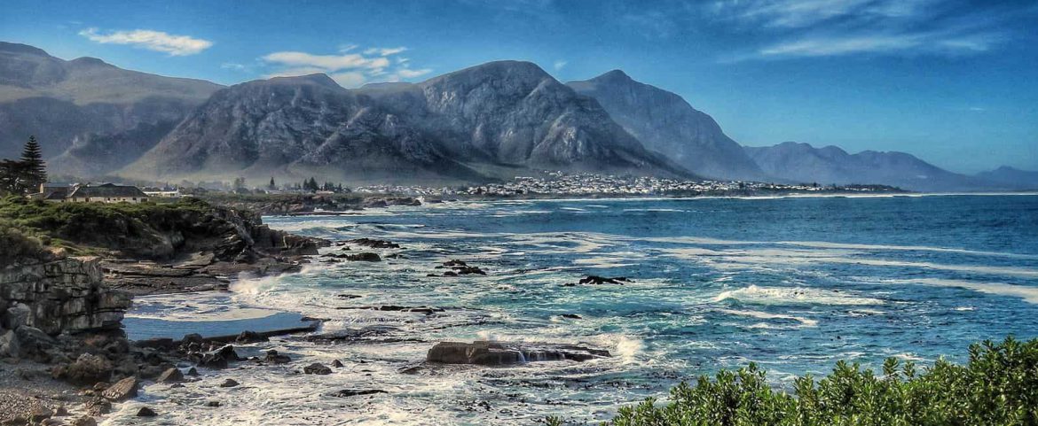 Whale Watching at Cape Whale Coast Image of Hermanus, Western Cape, South Africa