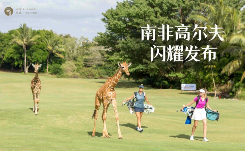 南非高尔夫 | 2024闪耀发布活动