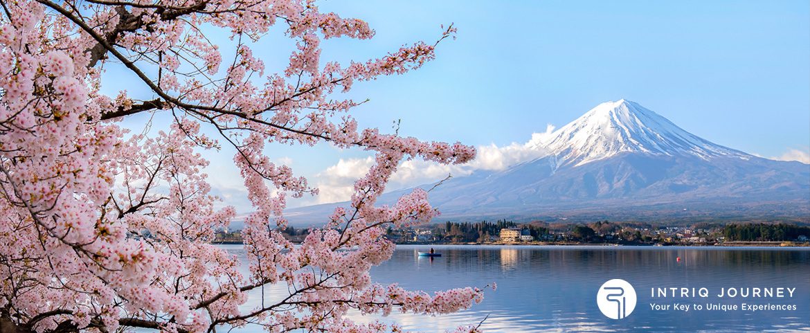 Unveiling Hidden Gems – Exclusive Japan Off-the-Beaten-Track Destinations mount fuji and cherry blossoms