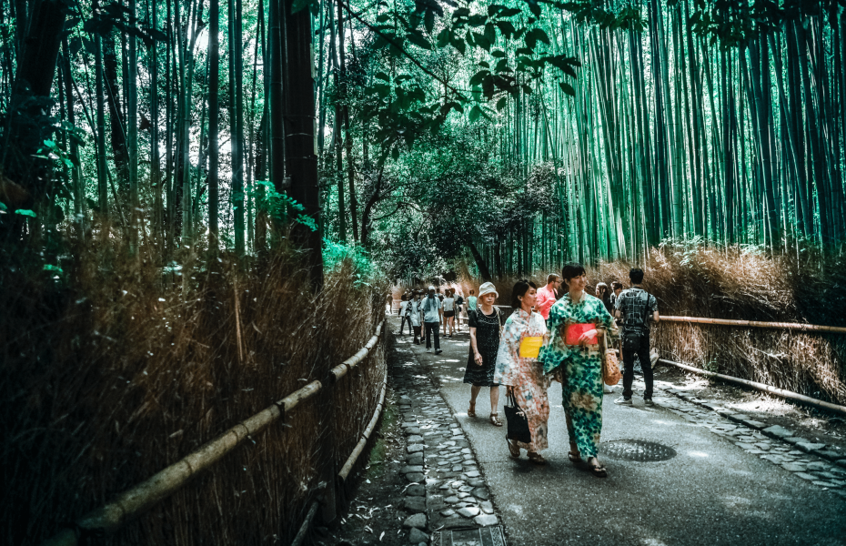 2022 年日本豪华旅游指南