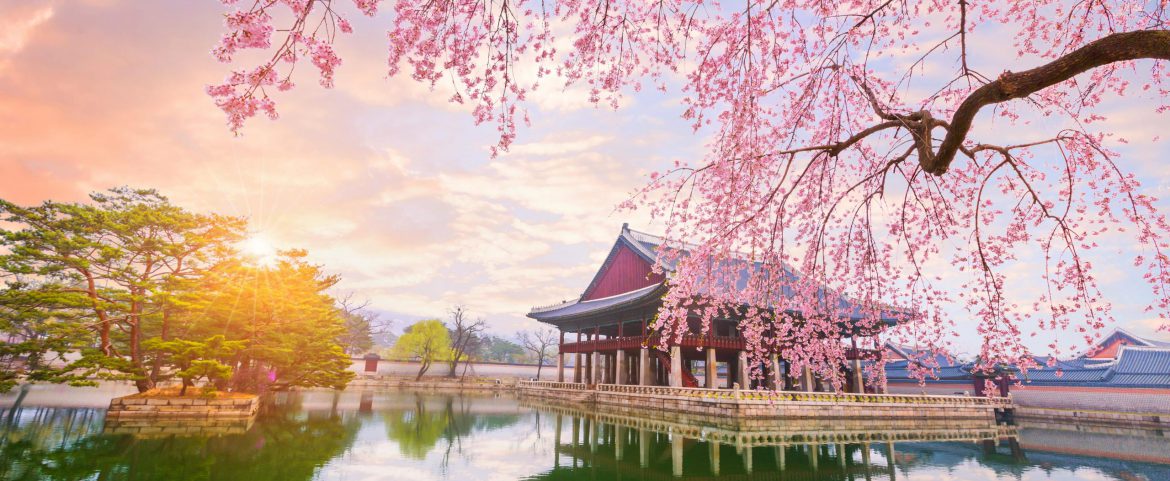 The Land of the Morning Calm south korea luxury tours